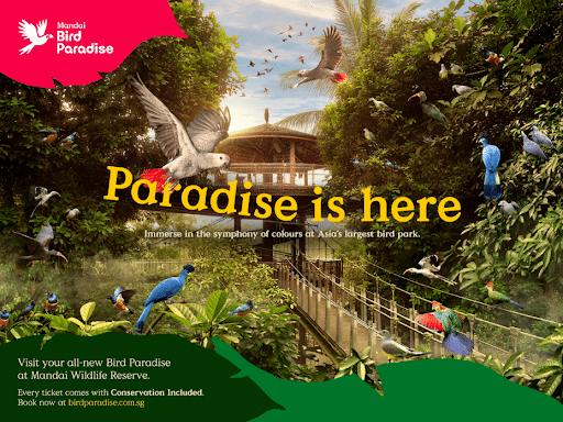 Paradise is here flyer